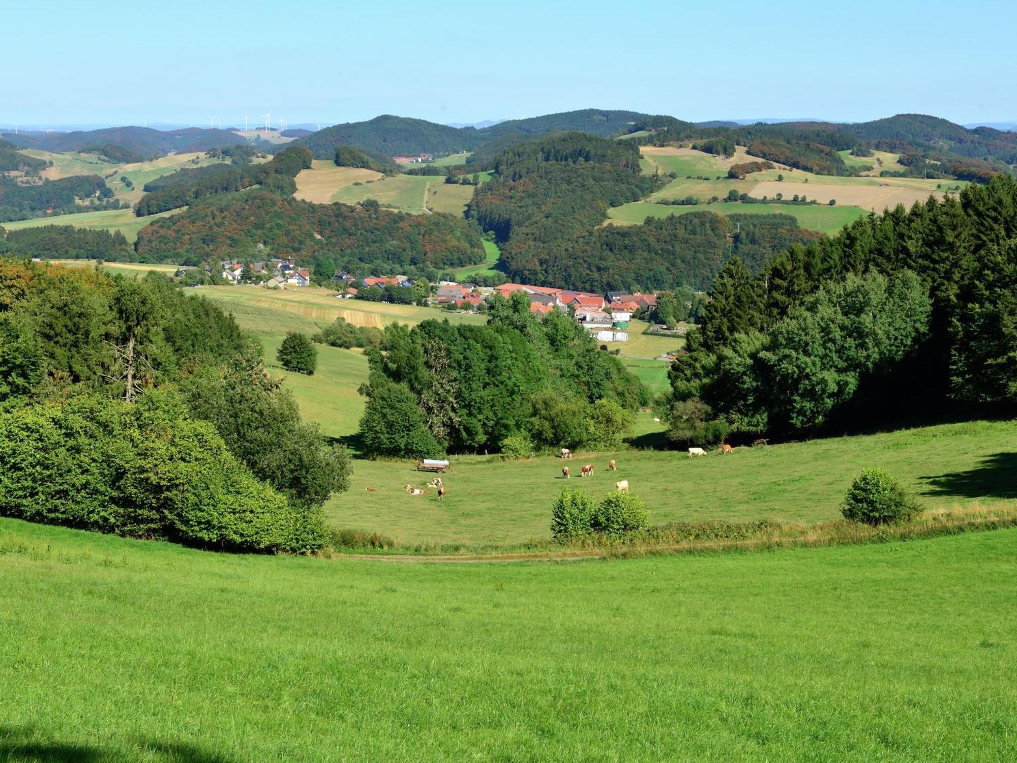Quaint Apartment In Eimelrod Near Lake And Water Sports Willingen  Dış mekan fotoğraf